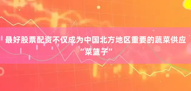 最好股票配资不仅成为中国北方地区重要的蔬菜供应“菜篮子”