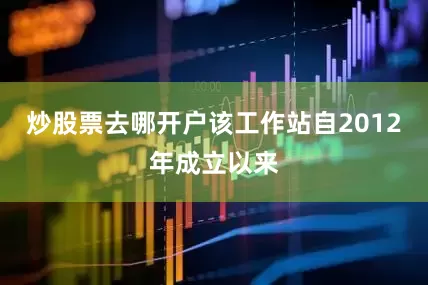 炒股票去哪开户该工作站自2012年成立以来