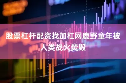 股票杠杆配资找加杠网鹿野童年被人类战火焚毁