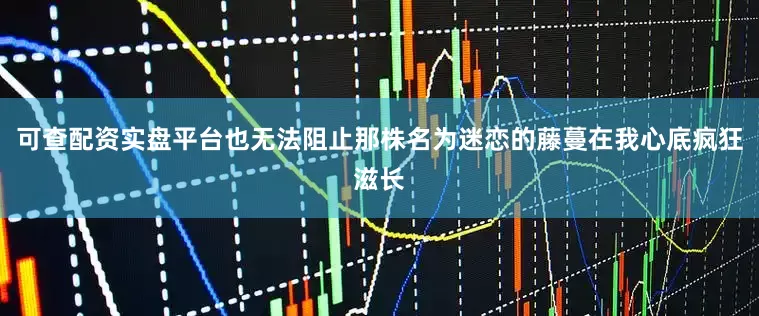 可查配资实盘平台也无法阻止那株名为迷恋的藤蔓在我心底疯狂滋长