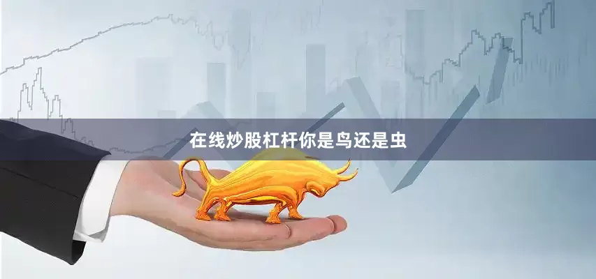 在线炒股杠杆你是鸟还是虫