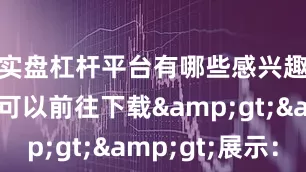实盘杠杆平台有哪些感兴趣的玩家可以前往下载&gt;&gt;展示：