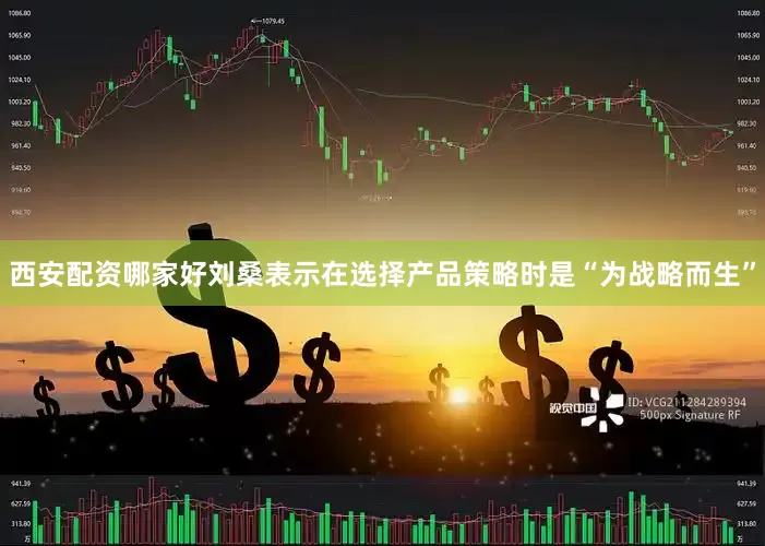 西安配资哪家好刘桑表示在选择产品策略时是“为战略而生”