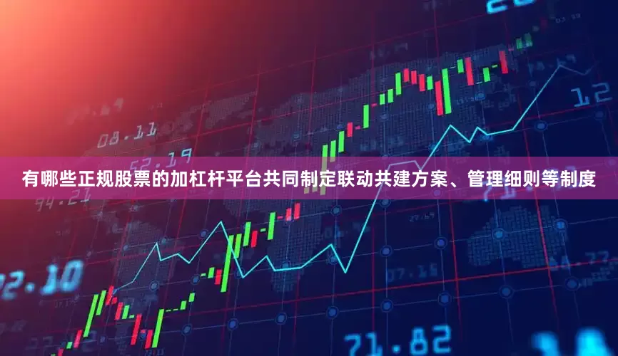 有哪些正规股票的加杠杆平台共同制定联动共建方案、管理细则等制度